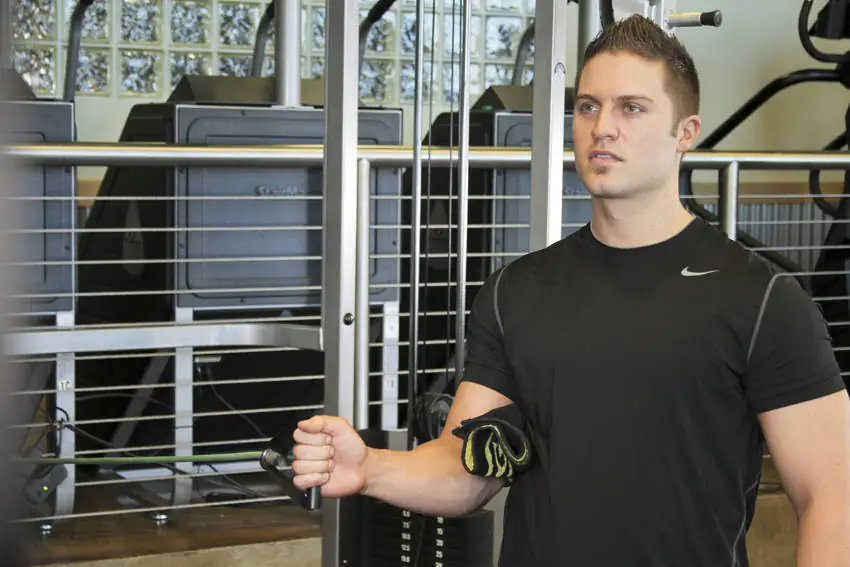 The Elastic Shoulder Spin-In