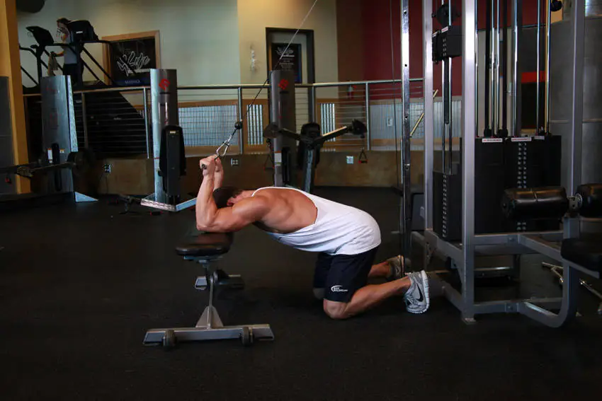 Grounded Pulley Horseshoe Stretchout (Posterior Arm - Wire Moderate)